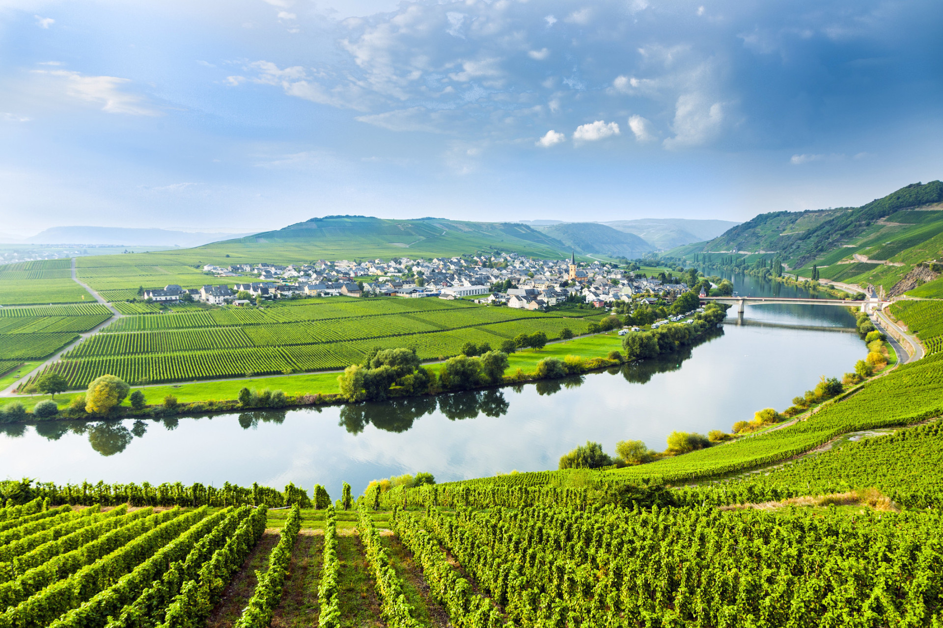 Taking its name from the River Mosel, this is arguably Germany's leading wine region. Convivial wine tastings can be enjoyed along the meandering wine route.<p><a href="https://www.msn.com/en-us/community/channel/vid-7xx8mnucu55yw63we9va2gwr7uihbxwc68fxqp25x6tg4ftibpra?cvid=94631541bc0f4f89bfd59158d696ad7e">Follow us and access great exclusive content every day</a></p>