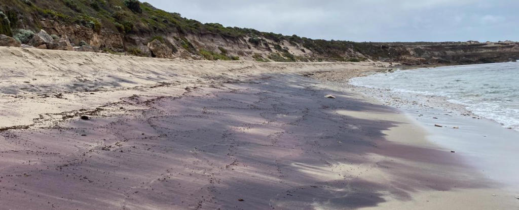 mysterious pink sands in australia reveal hidden antarctic mountains