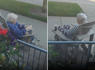 Homeowner Spots Two Women Using His Outside Chairs, Decides To Take Action<br><br>
