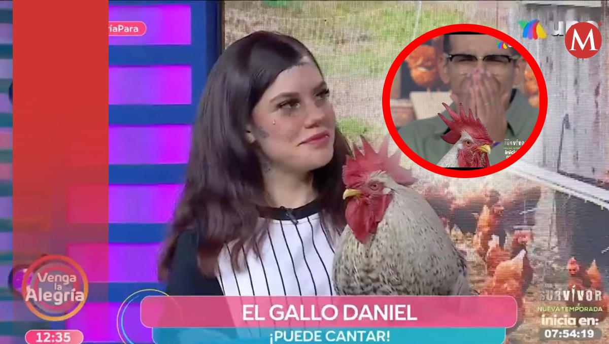 así fue el 'momento más esquizo' del capi pérez al presentar un gallo cantando reggaeton en 'venga la alegría’ | video