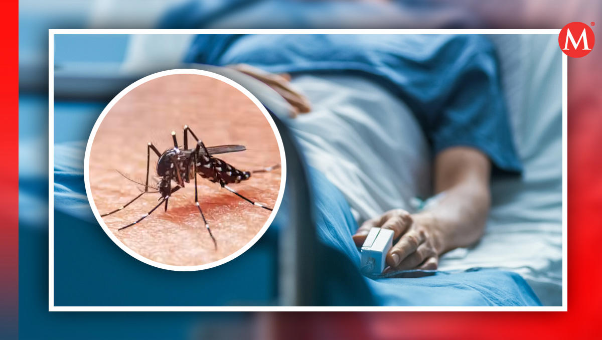 salud prevé aumento de 600% en casos de dengue en tamaulipas tras las lluvias