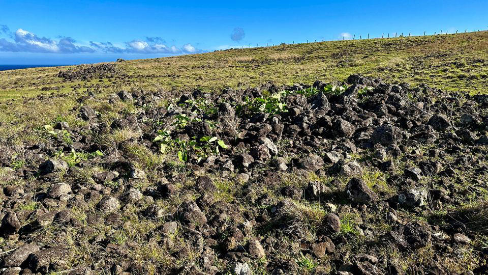 satellite imagery may provide a missing puzzle piece in easter island saga