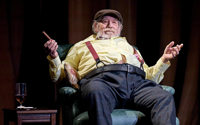 sir ian mckellen fell on me – and theatre staff did little to help, woman claims