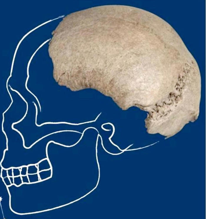 ricostruito il volto del primo homo sapiens, ha 315mila anni