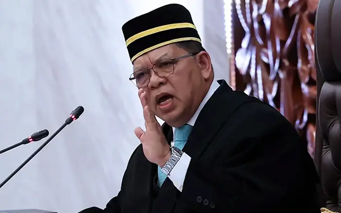 only speaker can determine casual vacancy in dewan rakyat, says lawyer