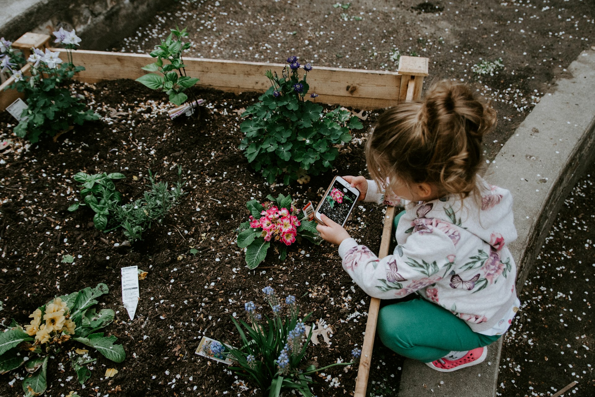 If you see your kid lingering around the house doing nothing and feeling bored, it's a good idea to encourage them to try learning something new or finding a new hobby. Whether it's cooking, gardening, reading, or playing a musical instrument, learning new skills can be just as fun as it is rewarding.