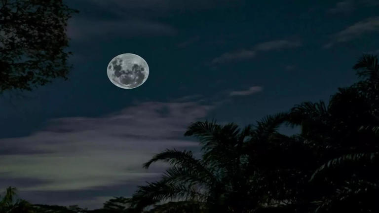 June's Full Moon 2024: Follow these Rituals on Full Moon Night