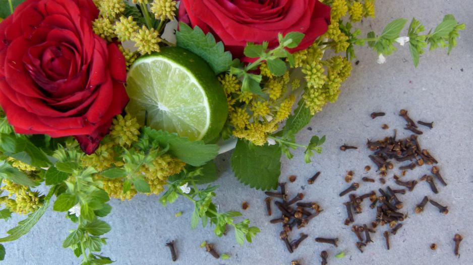 věnec z růží, bylinek, citrusů a doplněný kořením: krásná ozdoba na stůl, která odpudí komáry