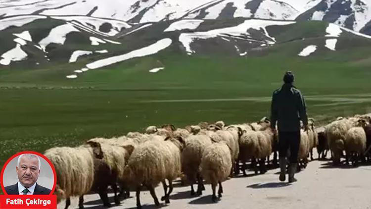 fatih çeki̇rge duyunca inanamadım: 40 bin lira maaşa çoban ve garson aranıyor