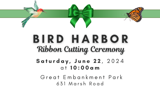 Pittsford's Bird Harbor: New sanctuary space for birds and pollinators