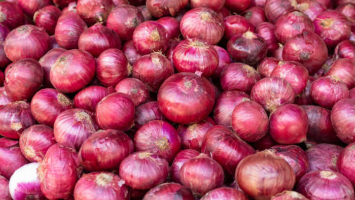 centre procures 71,000 tonnes of onions to stabilise prices - details
