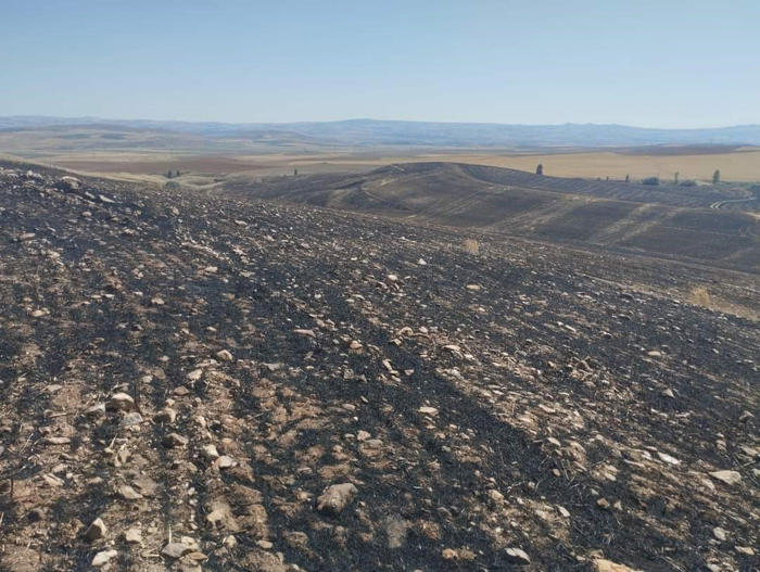 kırşehir’deki yangınlarda 200 dönümlük arazi zarar gördü