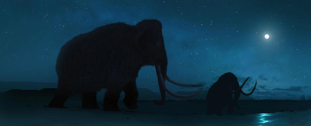 cosmic shrapnel that killed the mammoth is buried deep, scientists claim