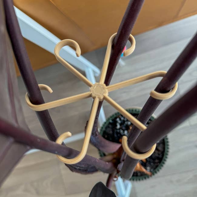 The stem support, which has six curved arms that support a stem and hold it upright