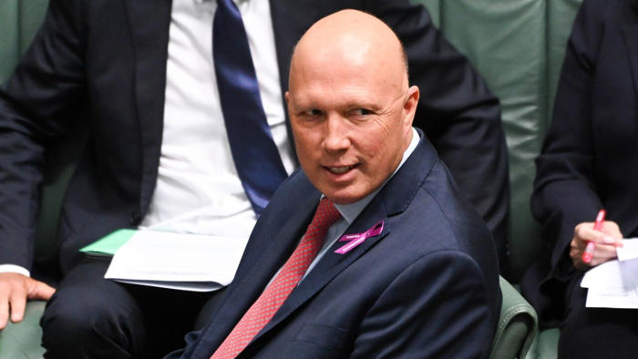 peter dutton has put the 'whole plan' on the table