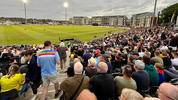 bristol in pictures: concerts, cats and cricket