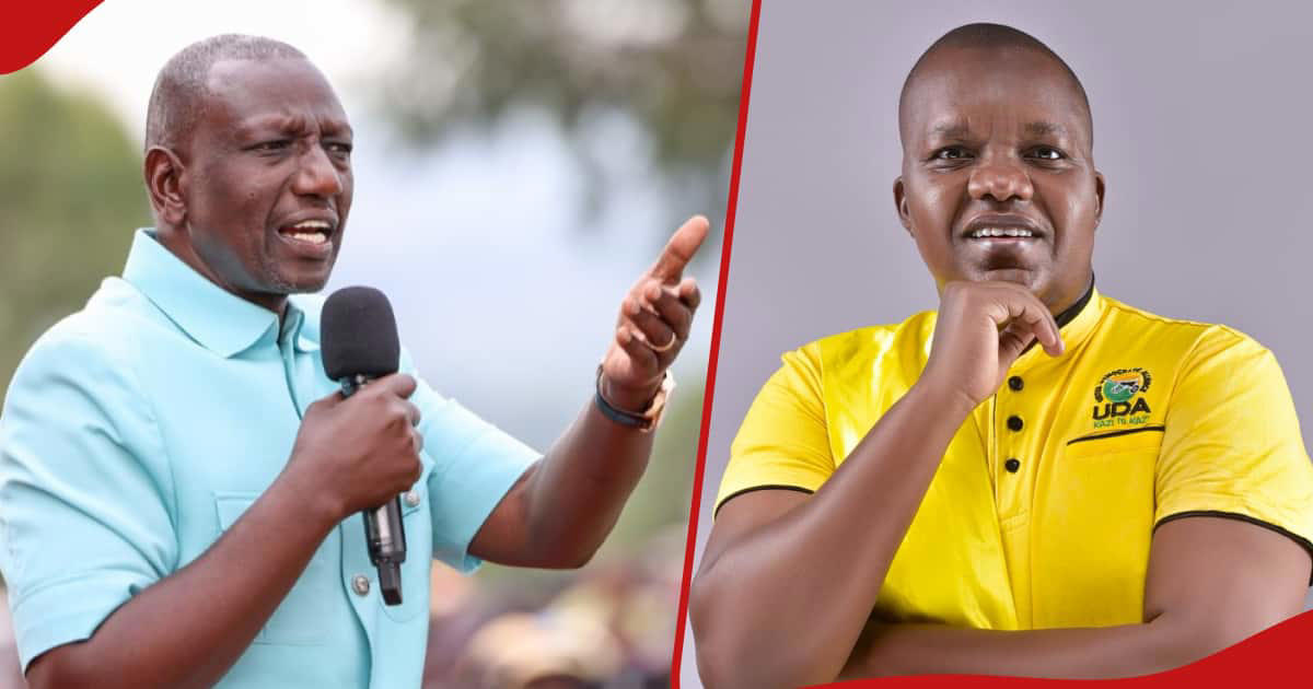 uda mp explains why william ruto must engage gen z over finance bill 2024