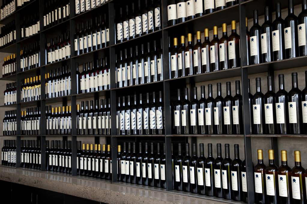 viñedos: 4 rutas del vino alternativas en méxico