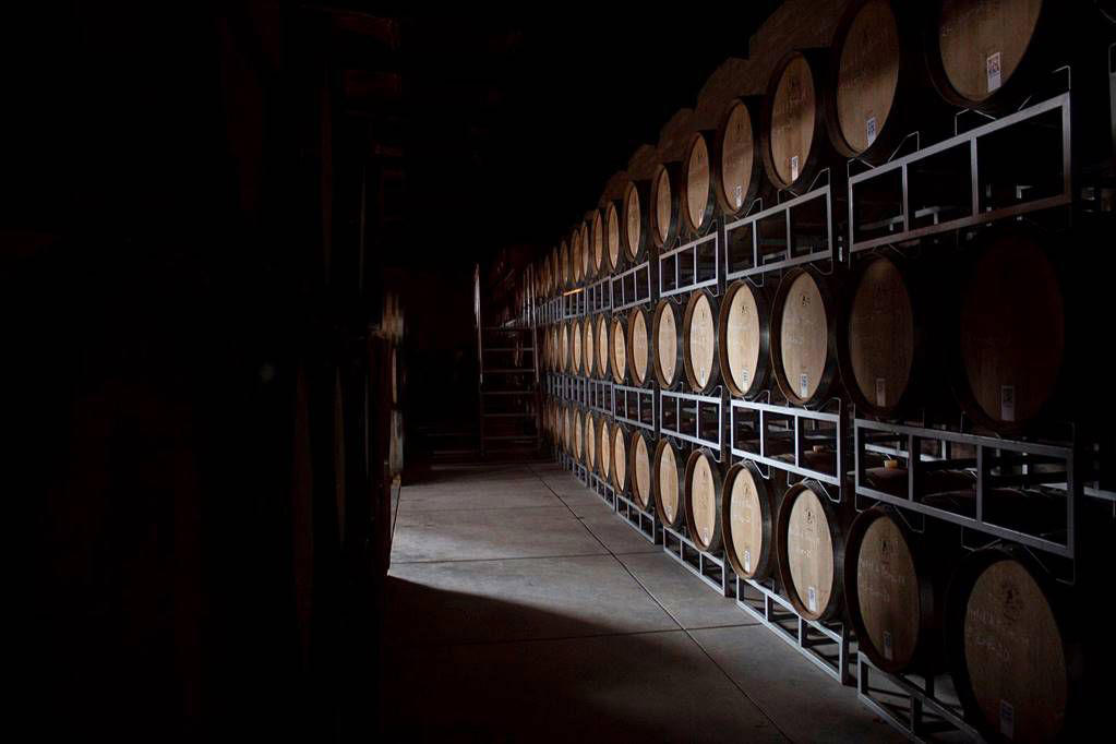 viñedos: 4 rutas del vino alternativas en méxico