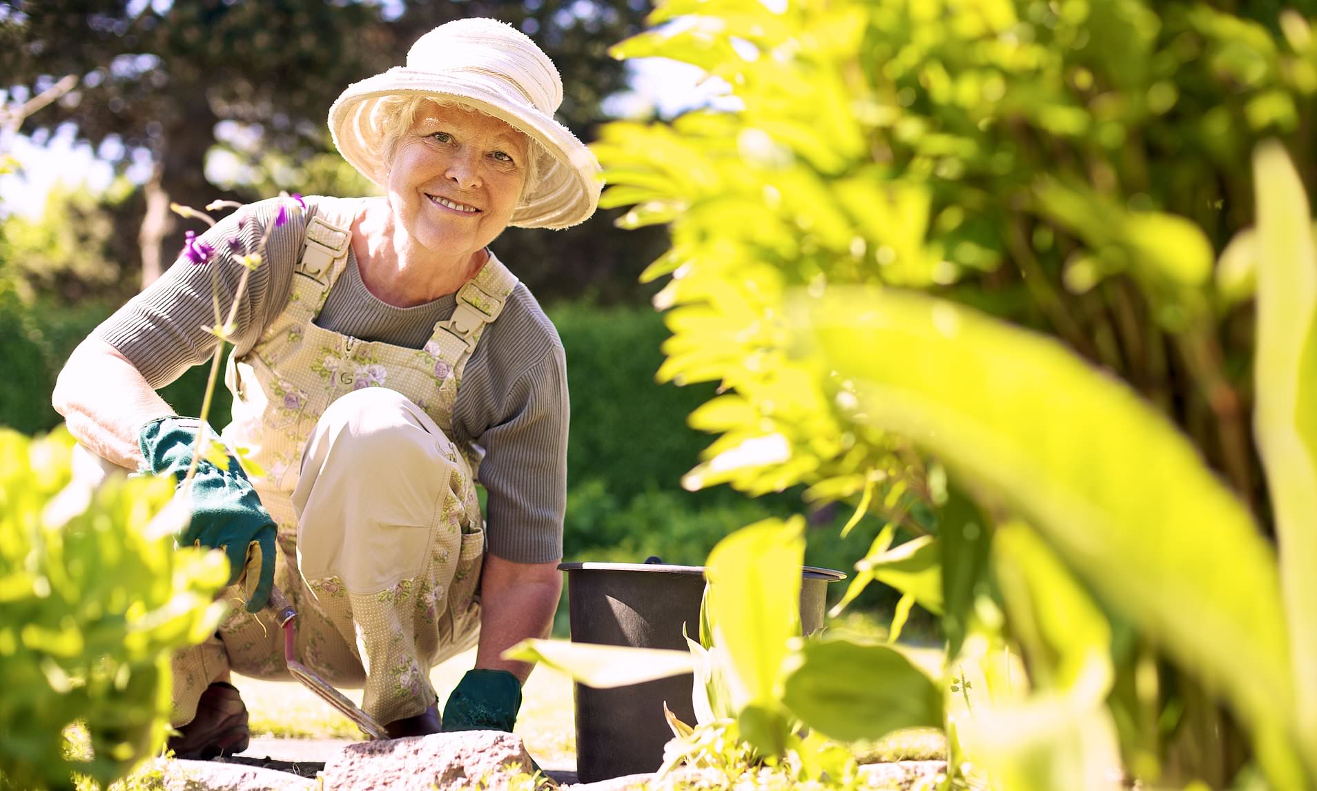 New Study Reveals: Gardening Boosts Brain Health in Older Adults New Study Reveals: Gardening Boosts Brain Health in Older Adults