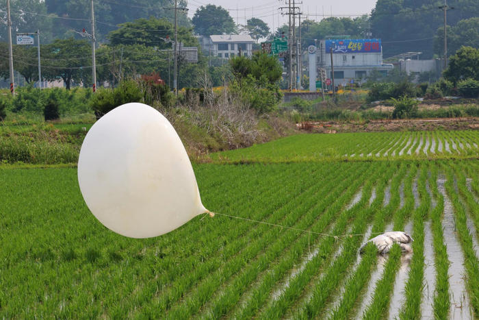 เกาหลีใต้เผย ในบอลลูนเกาหลีเหนือ มี “พยาธิ” ปนอยู่ด้วย