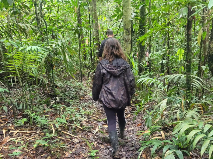 amazon, ich habe eine all-inclusive-reise in den amazonas-regenwald gebucht – das unvergessliche erlebnis war überraschend günstig
