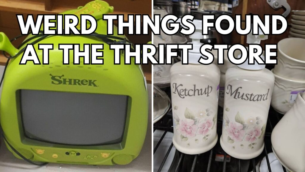 28 Times People Saw Something So Random At The Thrift Store, They Had ...