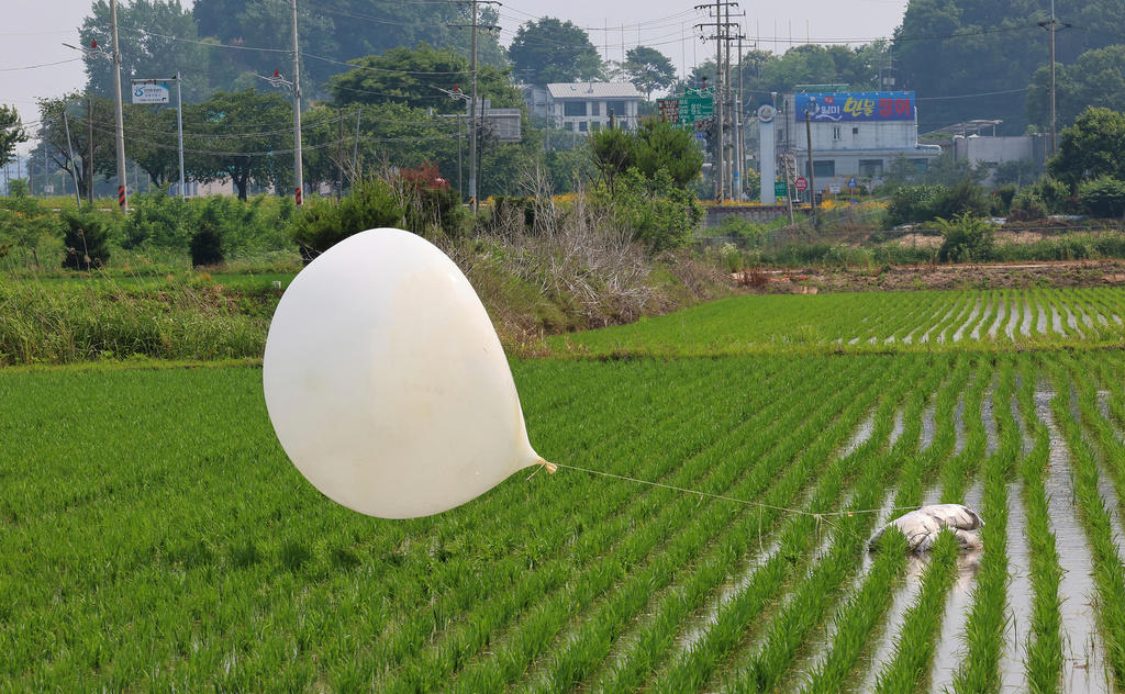 parasiter i nordkoreanska ballonger mot syd