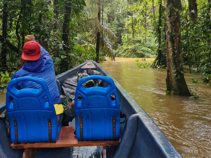 amazon, ich habe eine all-inclusive-reise in den amazonas-regenwald gebucht – das unvergessliche erlebnis war überraschend günstig