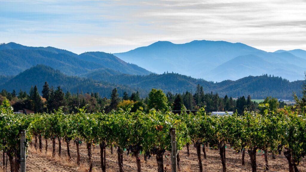 <p>Oregon is famous for the Willamette Valley and its stunning Pinot Noirs. But did you know that southern Oregon is also home to an impressive wine scene that is quickly gaining national notoriety?</p><p>This region is hotter and drier than the valley to the north, which means it specializes in Cabernet Sauvignon, Syrahs, Tempranillo, and other bold red wines.</p><p>A visit to the southern Oregon wine country means fewer crowds, lower prices, and a more enjoyable wine-tasting experience where you can sit down and relax rather than hustle through a pre-booked appointment.</p>