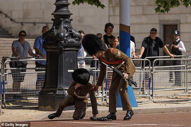 UK wilts in 31C heatwave: Cavalry Guard 'faints' on the Mall