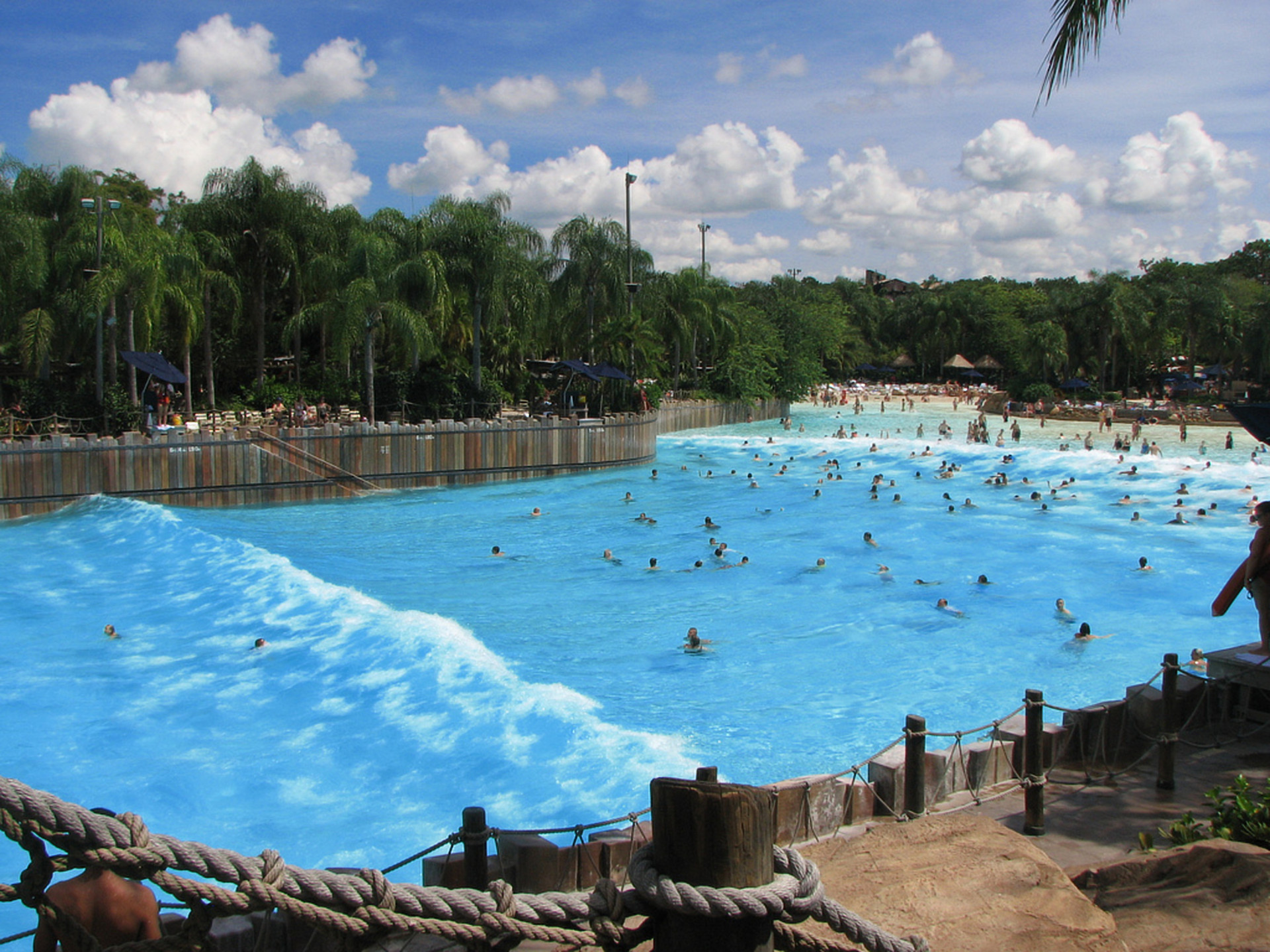 Also in Orlando, the Typhoon Lagoon has one of the biggest outdoor swimming pools in the world. <p>You may also like:<a href="https://www.starsinsider.com/n/443708?utm_source=msn.com&utm_medium=display&utm_campaign=referral_description&utm_content=150139v2en-ae"> What to eat for good spinal health</a></p>