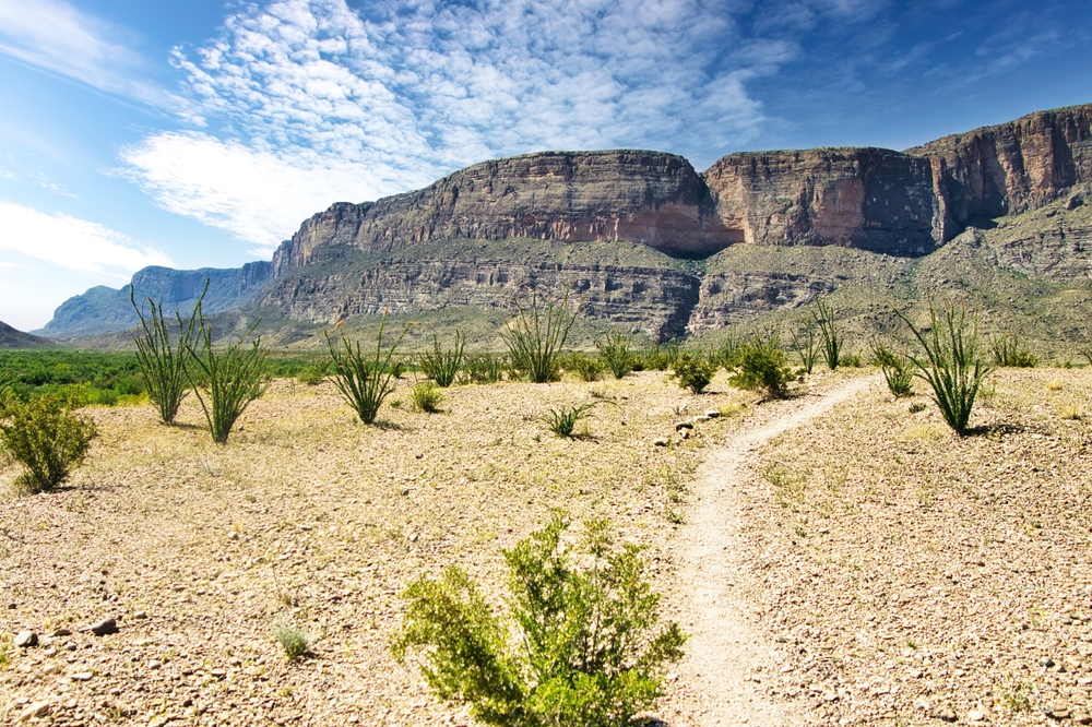 <p>Big Bend’s remote location and diverse landscapes offer a true escape into nature. River rafting on the Rio Grande provides thrilling rapids and stunning canyon views. The park’s extensive trail system caters to hikers of all levels. Stargazing here is exceptional, thanks to its dark, clear skies.</p>