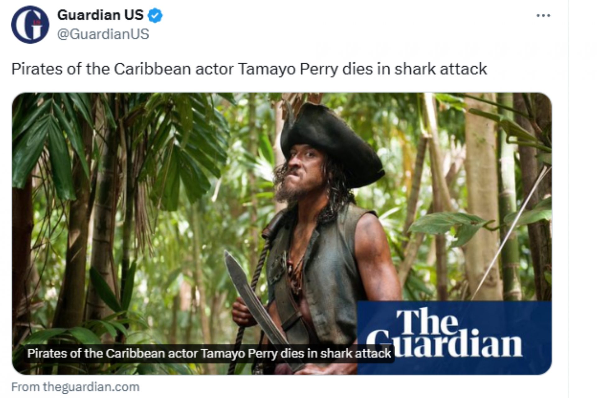 Tamayo Perry, surfista y actor de 'Piratas del Caribe', muere por un ...