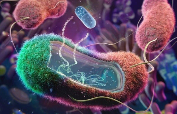 alarma por la bacteria carnívora: ¿cuáles son los síntomas y cómo protegerte?