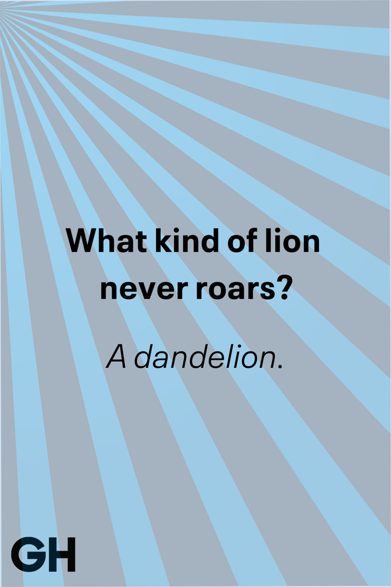 Here are some of the best riddles to get kids thinking in a new way