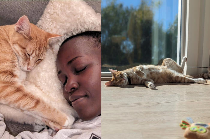 lupita nyong’o กลัวแมว แต่ต้องเข้าฉากกับแมววัวใน ‘a quiet place: day one’ จนสุดท้ายเลยได้เป็นทาสแมวส้ม