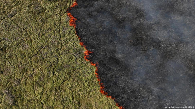 Segundo dados do início de junho, área afetada por queimadas no Pantanal é 700% maior do que no mesmo período de 2020