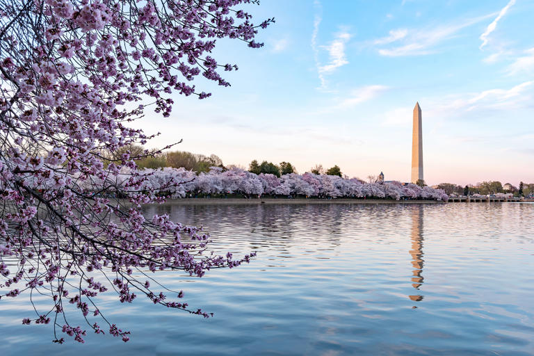 Washington Monument in Washington DC Getty Images/jimfeng