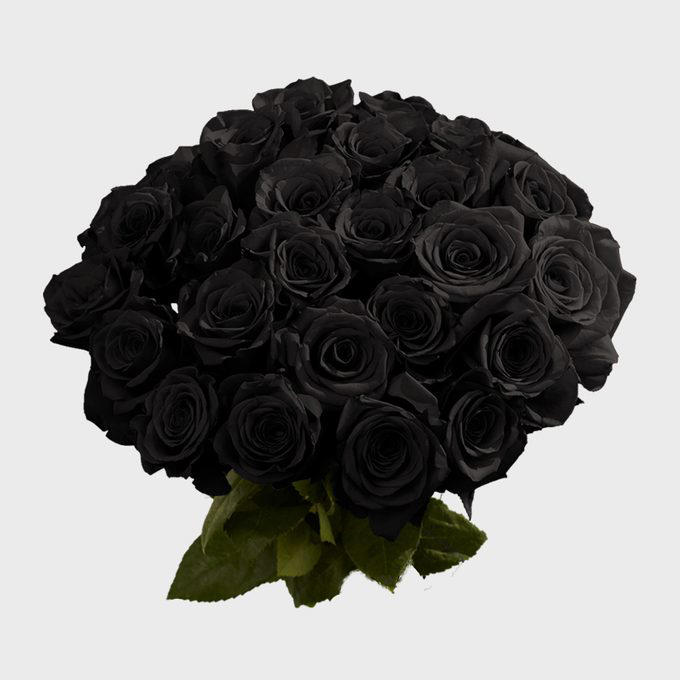 16 rose color meanings to help you pick the perfect bloom every time