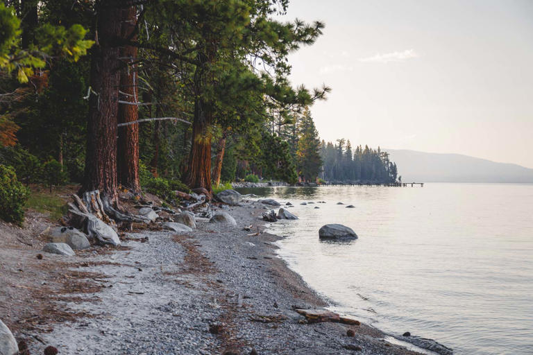 Lake Tahoe has some beautiful parks on its shore, but Sugar Pine Point State Park is one of the most impressive, covering...