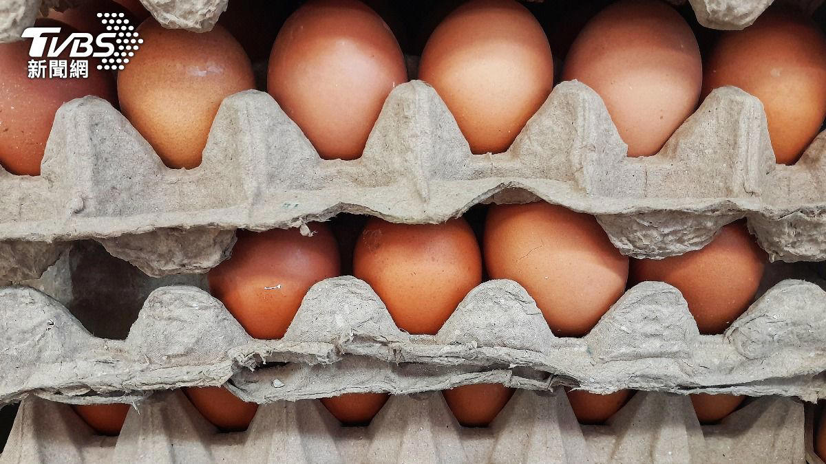 蛋價再跌2元創3年新低 蛋商公會籲「淘汰老雞」加速減產