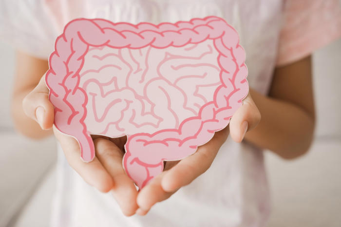research shows gut bacteria's role in mental resilience and reduced anxiety