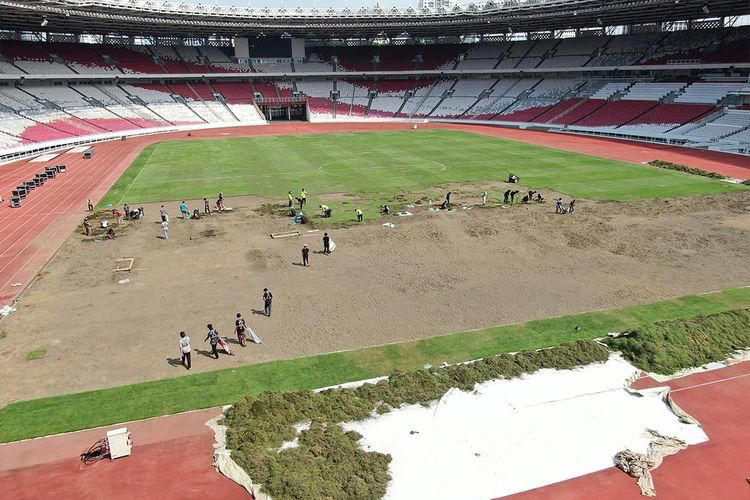 tak mau kejadian buruk terulang, rumput gbk ditanam ulang demi pertandingan timnas indonesia