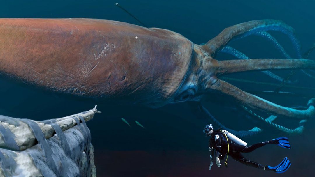 What If You Were Attacked by a Giant Squid?