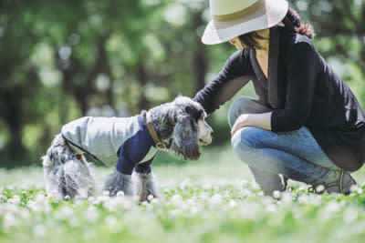 犬が『老犬』になってきた時のサイン４選…愛犬に起こる変化と日々の暮らしで改善すべきポイント