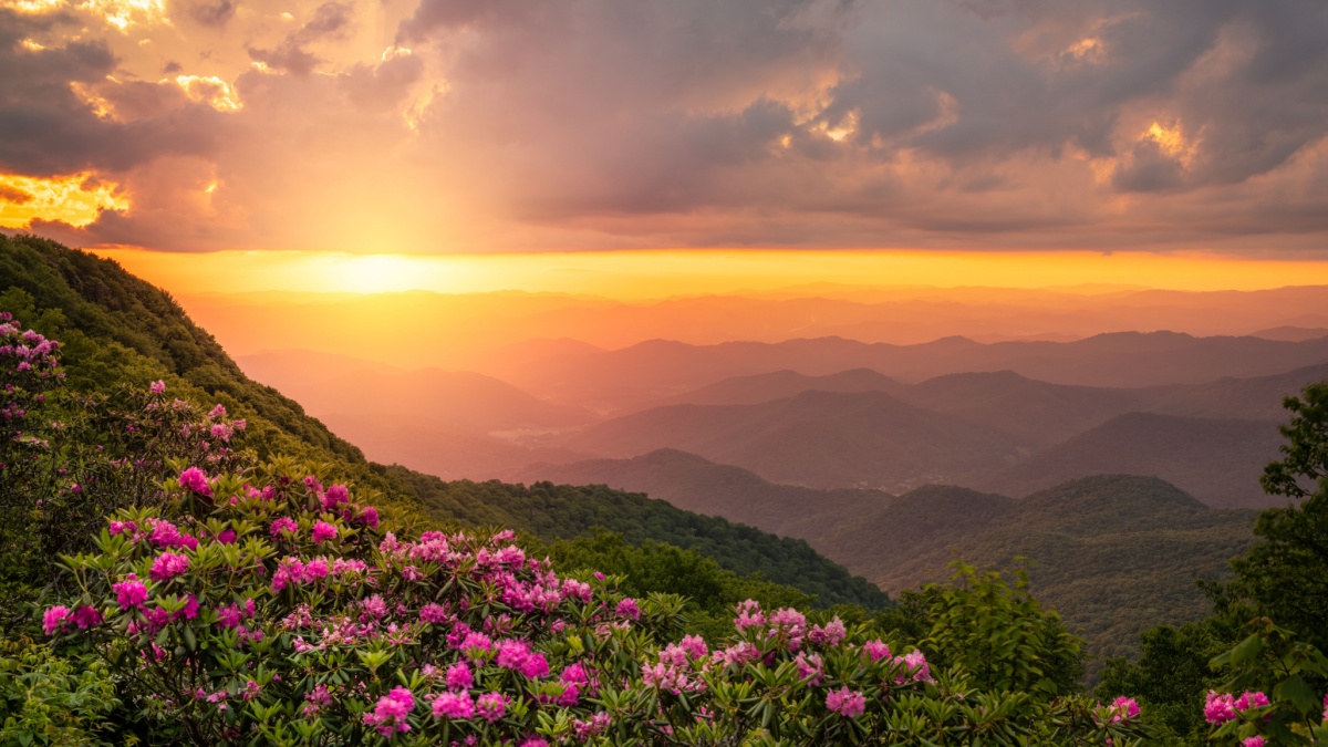 <p>The easy trails here yield excellent views of the surrounding mountains, but that’s not the main attraction here. Instead, it’s the profuse blooms of azaleas and rhododendrons that take place around late May each year.</p>