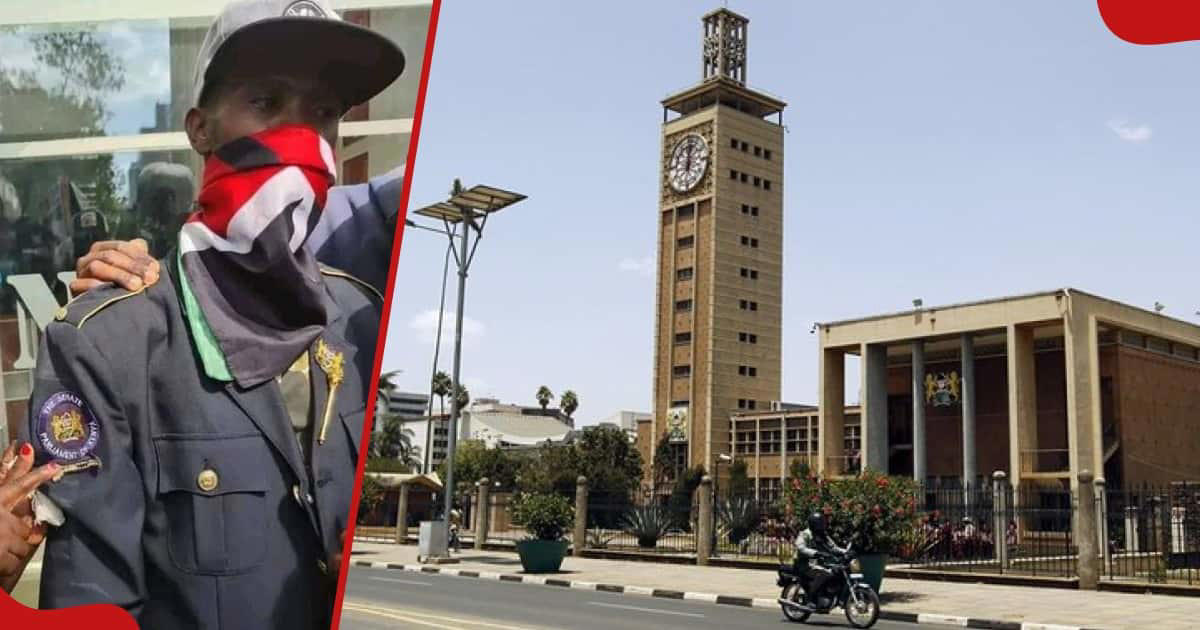 watch video: nairobi protester tries on sergeant-at-arms regalia stolen during parliament invasionin viral clip