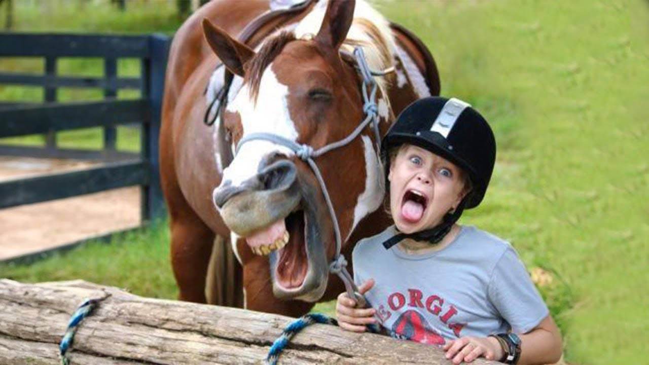 Best Funny Animal and Human Videos for a Good Laugh Best Funny Animal and Human Videos for a Good Laugh