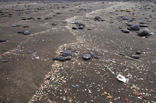 how much microplastics are inside humans? new film unveils a figure